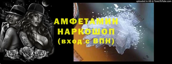 индика Заволжье