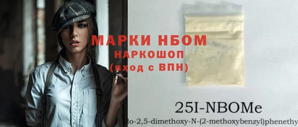 индика Заволжье