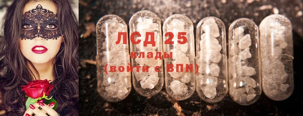 крисы Зерноград