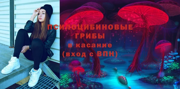 2c-b Зеленодольск