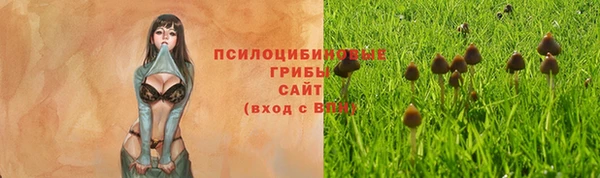 индика Заволжье